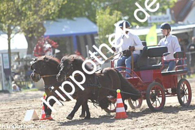 Foto 217024