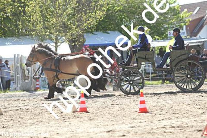 Foto 217060