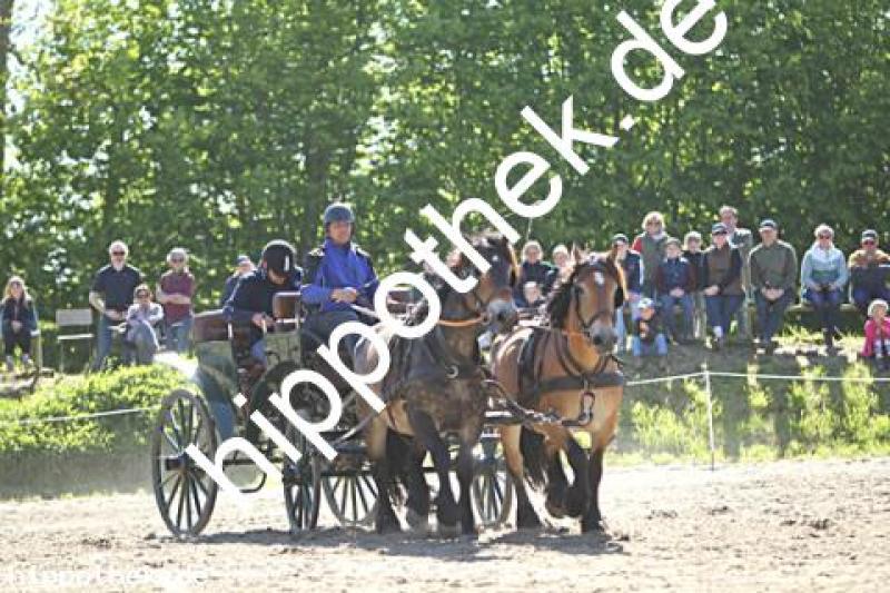 Foto 217063