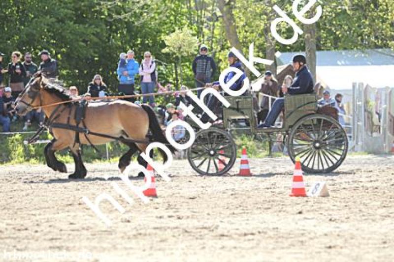 Foto 217105