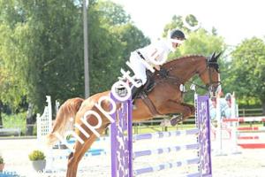 2024-06-26: Tulipe  bei Reitturnier in Neu Benthen