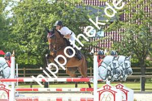 2024-06-26: Dante  bei Reitturnier in Neu Benthen