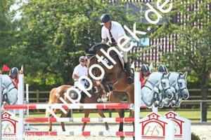 2024-06-26: Minerva  bei Reitturnier in Neu Benthen