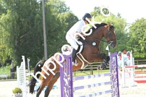 2024-06-26: Miss Killy  bei Reitturnier in Neu Benthen