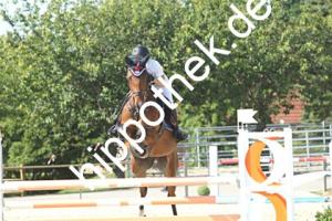 2024-06-26: Dante  bei Reitturnier in Neu Benthen