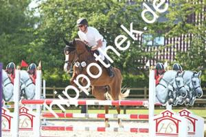 2024-06-26: Tulipe  bei Reitturnier in Neu Benthen