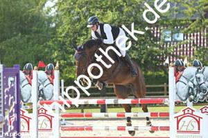 2024-06-26: Reffaello  bei Reitturnier in Neu Benthen