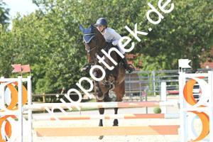 2024-06-26: Call me Calisto M  bei Reitturnier in Neu Benthen