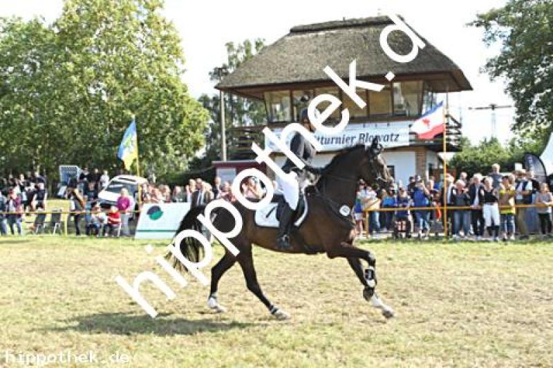 Foto 220441