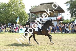 2024-07-28:  bei Reitturnier in Blowatz