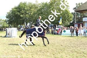 2024-07-28:  bei Reitturnier in Blowatz