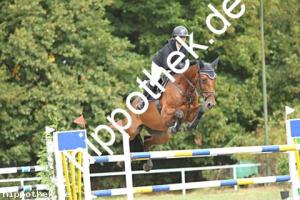 2024-09-01: MF Come Home  bei Reitturnier in Güstrow