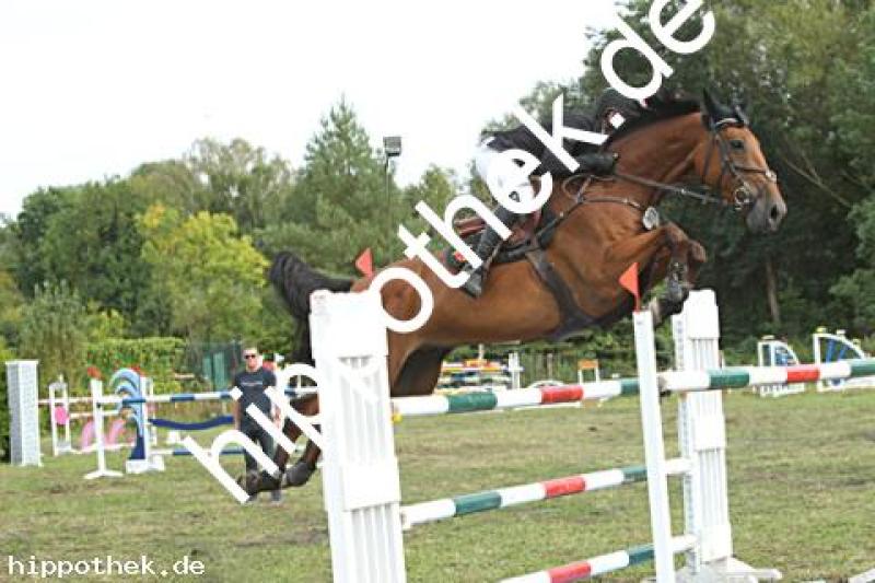 Foto 221529