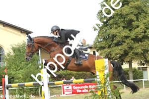 2024-09-01: MF Come Home  bei Reitturnier in Güstrow