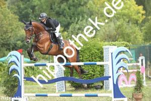 2024-09-01: MF Come Home  bei Reitturnier in Güstrow