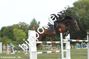 2024-09-01: Kira Holstein  bei Reitturnier in Güstrow