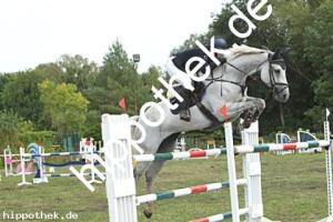 2024-09-01: Cool Eckard  bei Reitturnier in Güstrow