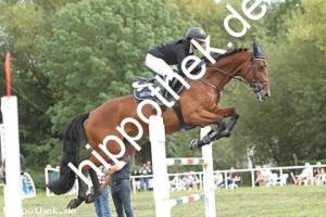 2024-09-01: MF Come Home  bei Reitturnier in Güstrow