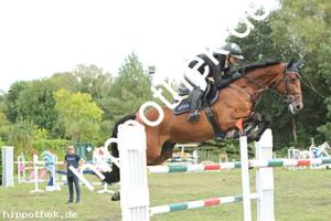 2024-09-01: MF Come Home  bei Reitturnier in Güstrow