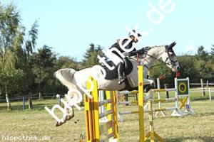 2024-09-28: Knight Shadow  bei Reitturnier in Malchow
