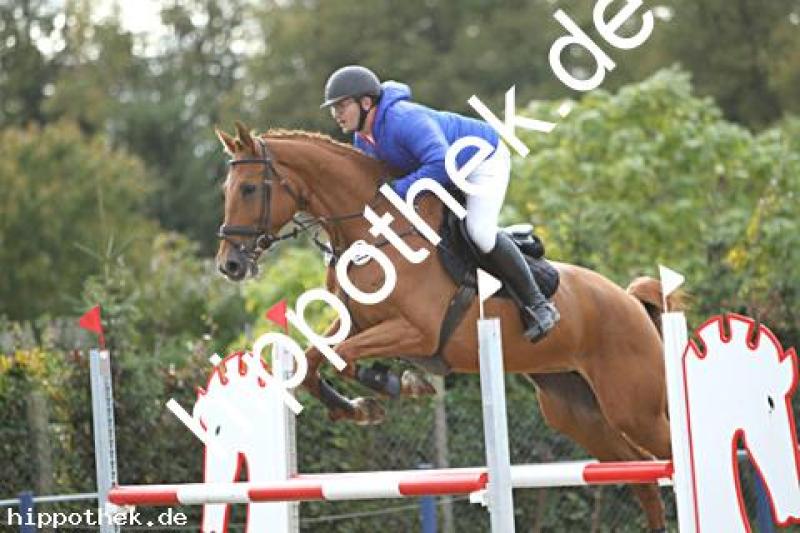 Foto 222976
