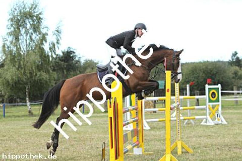 Foto 222985