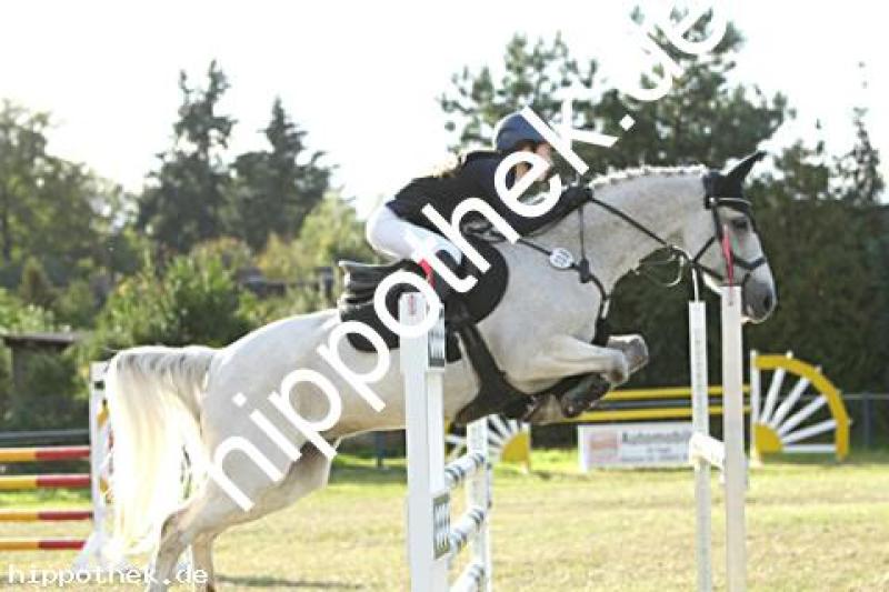 Foto 222988