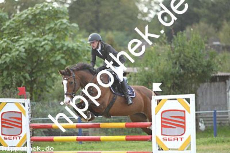 Foto 222993