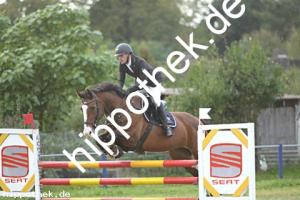 2024-09-28: Harizma  bei Reitturnier in Malchow