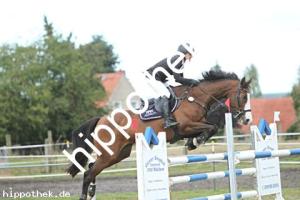 2024-09-28: Harizma  bei Reitturnier in Malchow