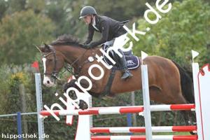 2024-09-28: Harizma  bei Reitturnier in Malchow