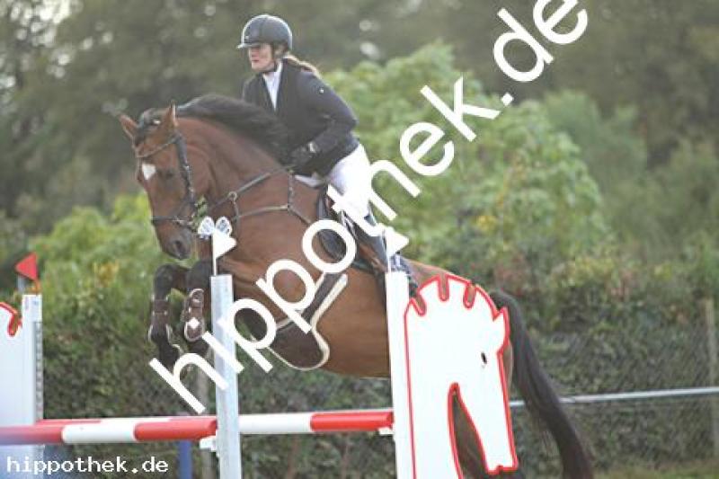 Foto 223022