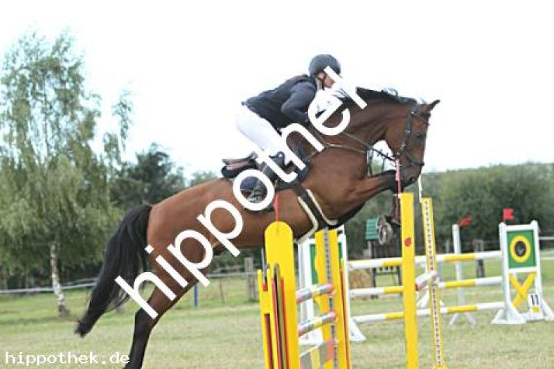 Foto 223024
