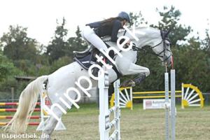 2024-09-28: Come on Girl  bei Reitturnier in Malchow