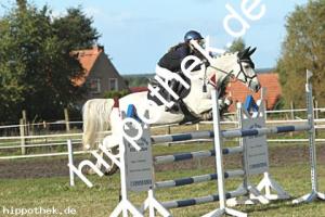 2024-09-28: Knight Shadow  bei Reitturnier in Malchow