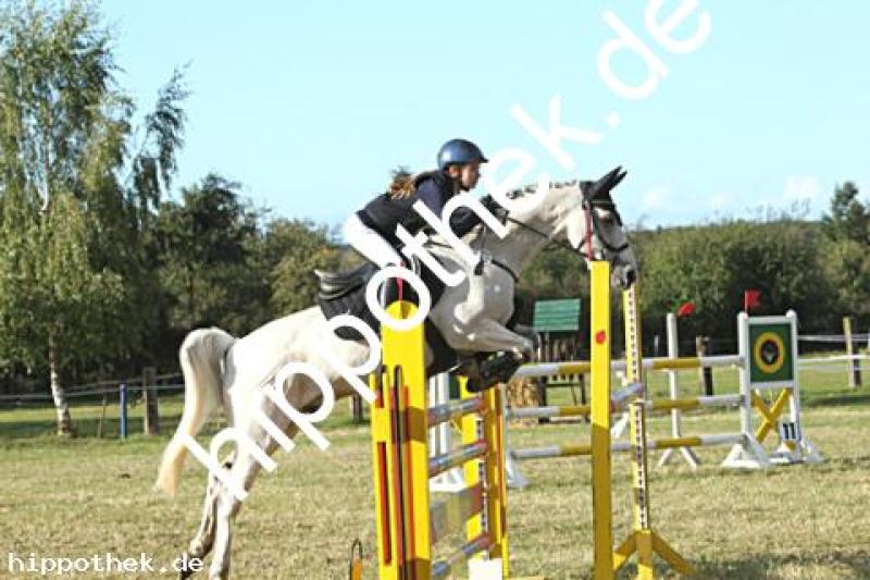 Foto 223055
