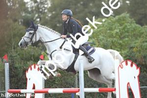 2024-09-28: Come on Girl  bei Reitturnier in Malchow
