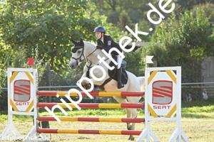 2024-09-28: Knight Shadow  bei Reitturnier in Malchow