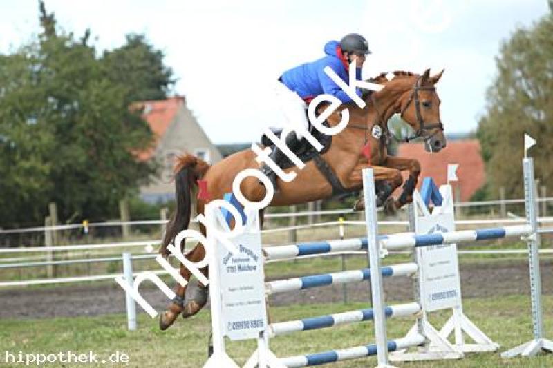 Foto 223101