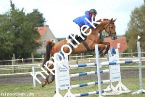 2024-09-28: Vinnypeach  bei Reitturnier in Malchow
