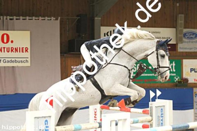 Foto 223241