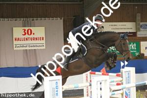 2024-10-13: Comme Credo  bei 30. Hallen Reitturnier in Gadebusch