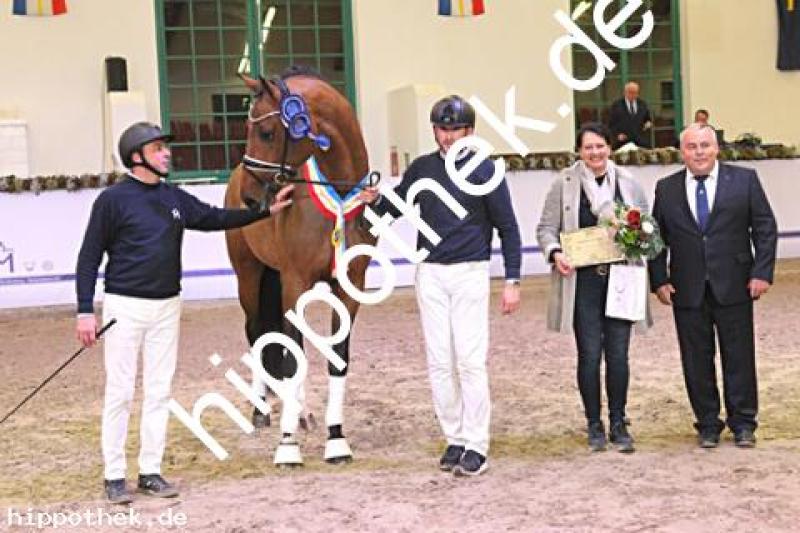 34. Mecklenburger Körtage Reitpferdekörung in Redefin