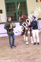 2024-12-07: v.Debutant PS ad Totilas  bei Körung Reitpferde in Redefin