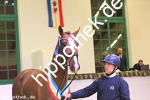 2024-12-07: v.Debutant PS ad Totilas  bei Körung Reitpferde in Redefin