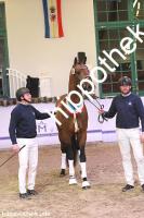 2024-12-07: v.Zoom ad Fürst Nymphenburg  bei Körung Reitpferde in Redefin