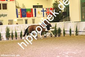 2024-12-07: v.Zoom ad Fürst Nymphenburg  bei Körung Reitpferde in Redefin