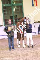 2024-12-07: v.Debutant PS ad Totilas  bei Körung Reitpferde in Redefin