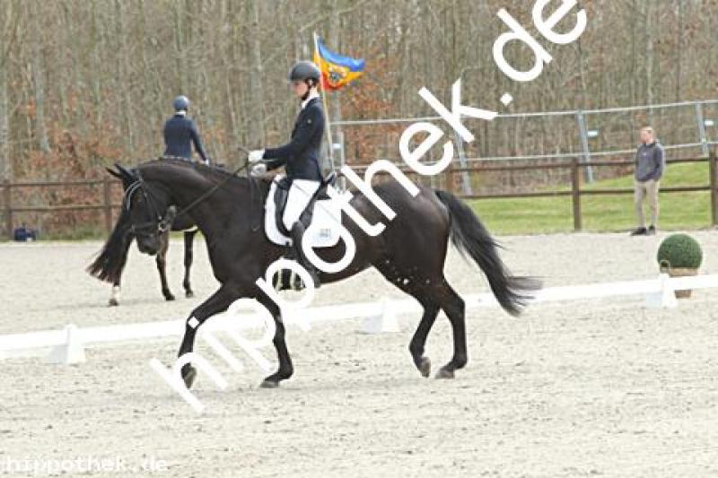 Turnier DL in Groß Viegeln