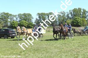 2025-04-27:  bei Fahren Gelände in Blievenstorf